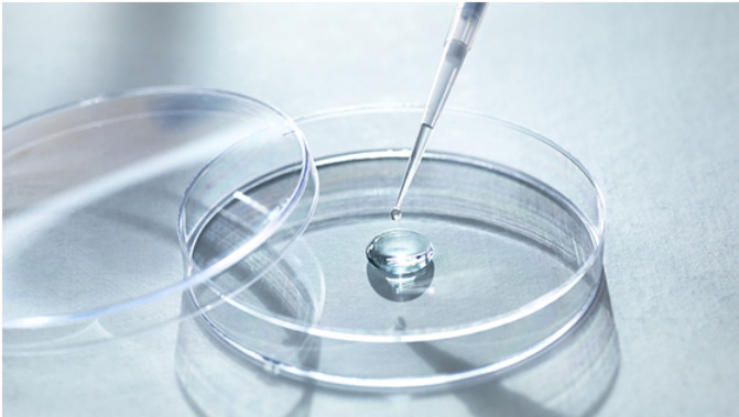 petri-dish