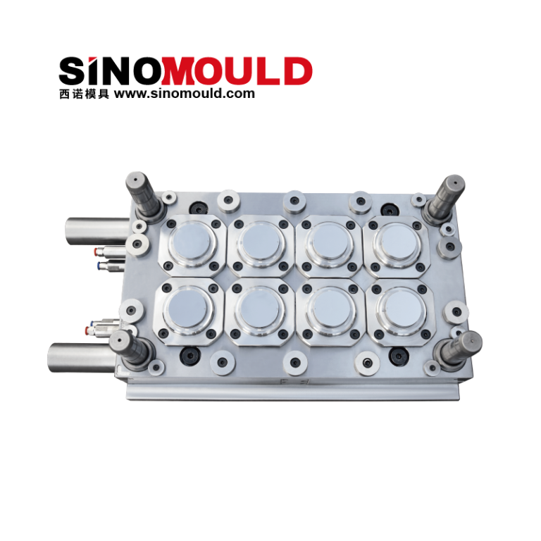 Petri Dish Mould2