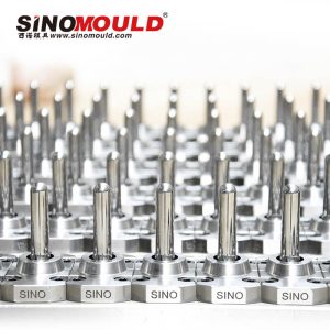 PET Bottle Preform Mould1